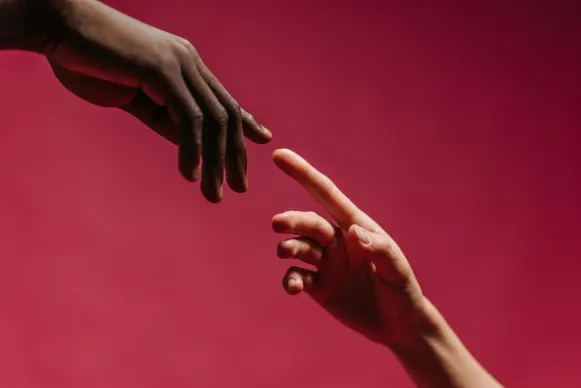 كازينو دايموند ريلز الدعم